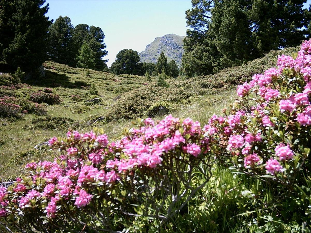 Appartamento Felber Huettn Patergassen Esterno foto