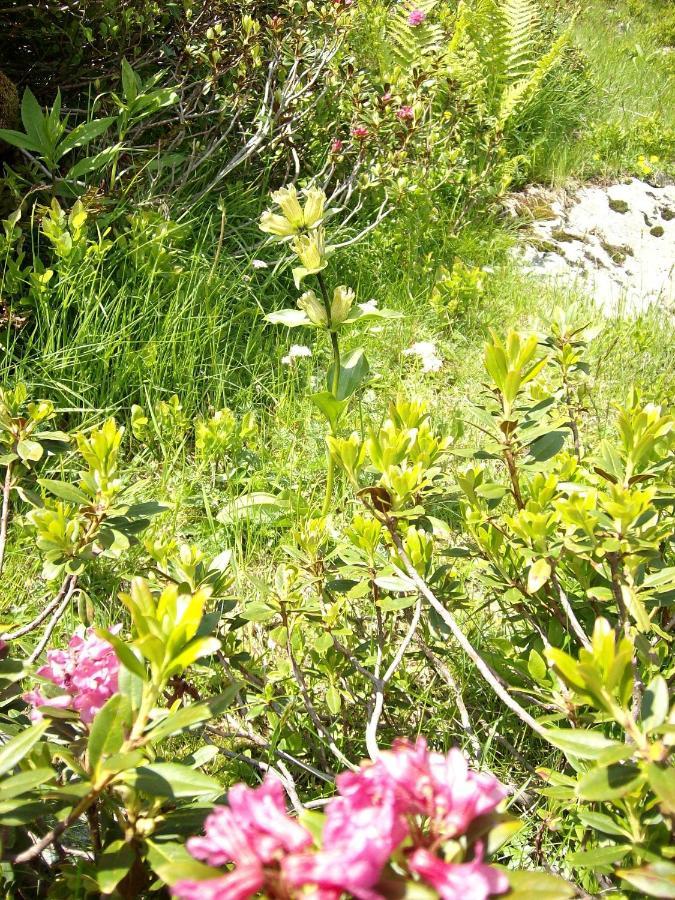 Appartamento Felber Huettn Patergassen Esterno foto